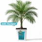 Preview: Grow Bucket super Soil mineralic